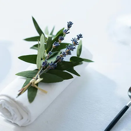 Mount Juliet Estate, Autograph Collection 托玛斯镇